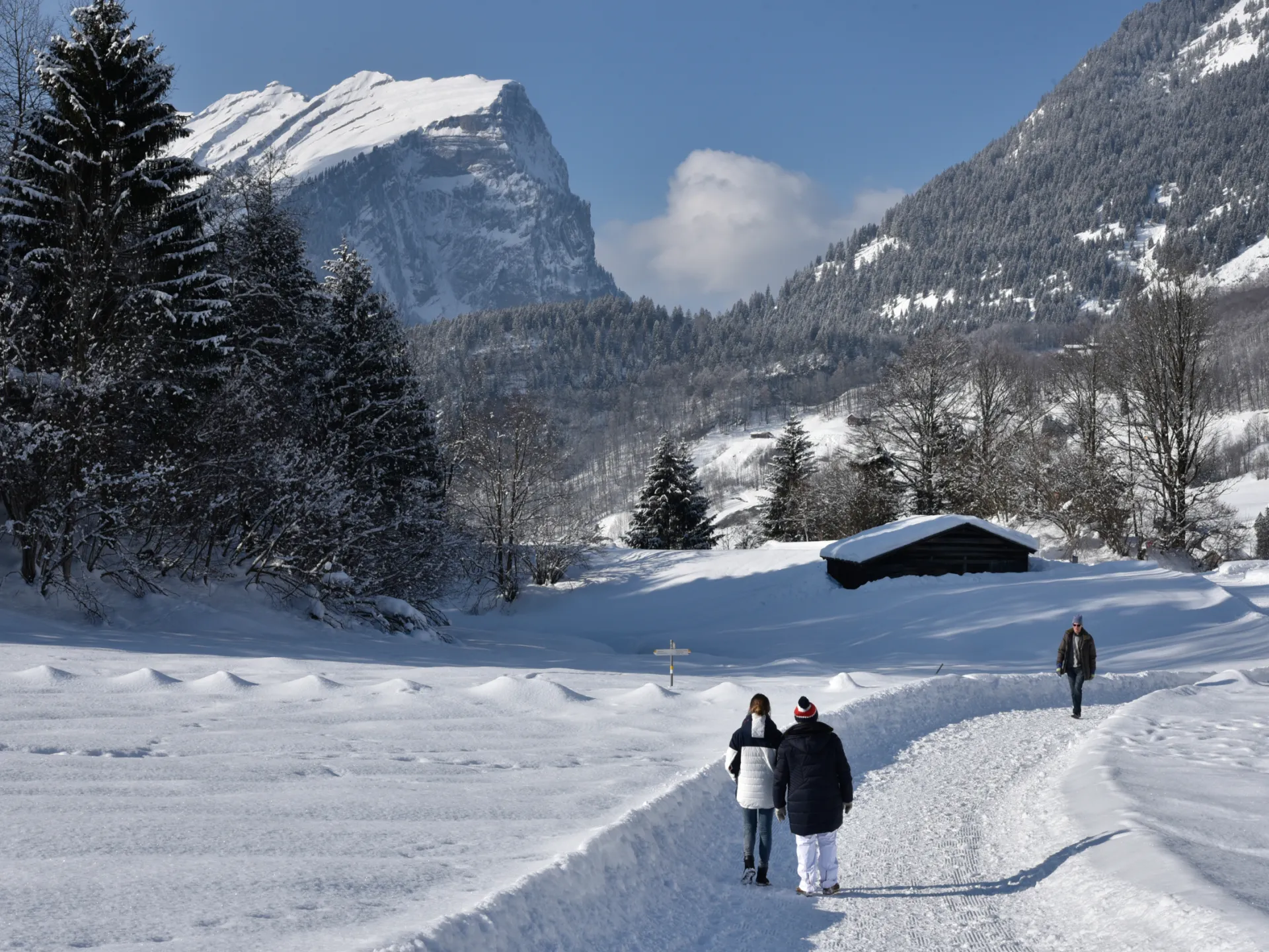 Winterwandern in Au-Schoppernau